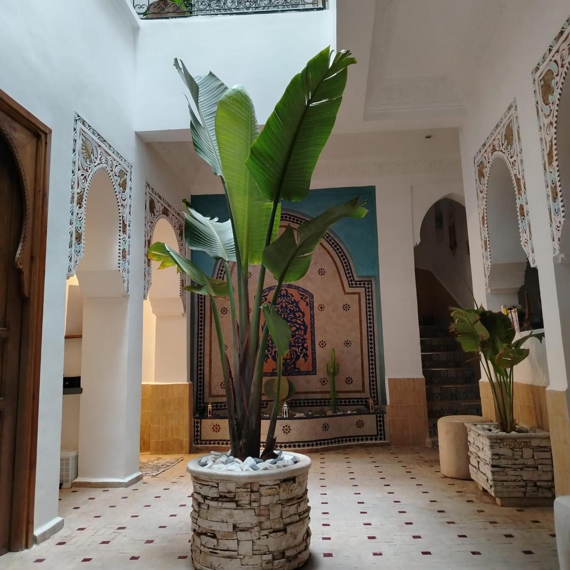 Riad & Spa Sous Le Soleil Chez Jerome Et Pamela Ch Marrakchi Marakéš Exteriér fotografie